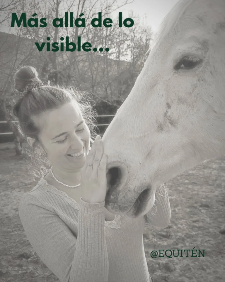 Instagram post from equiten.navarra. This post is in position 0.