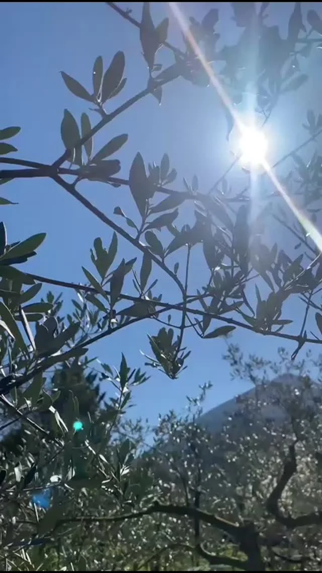 Instagram post from equiten.navarra. This post is in position 3.