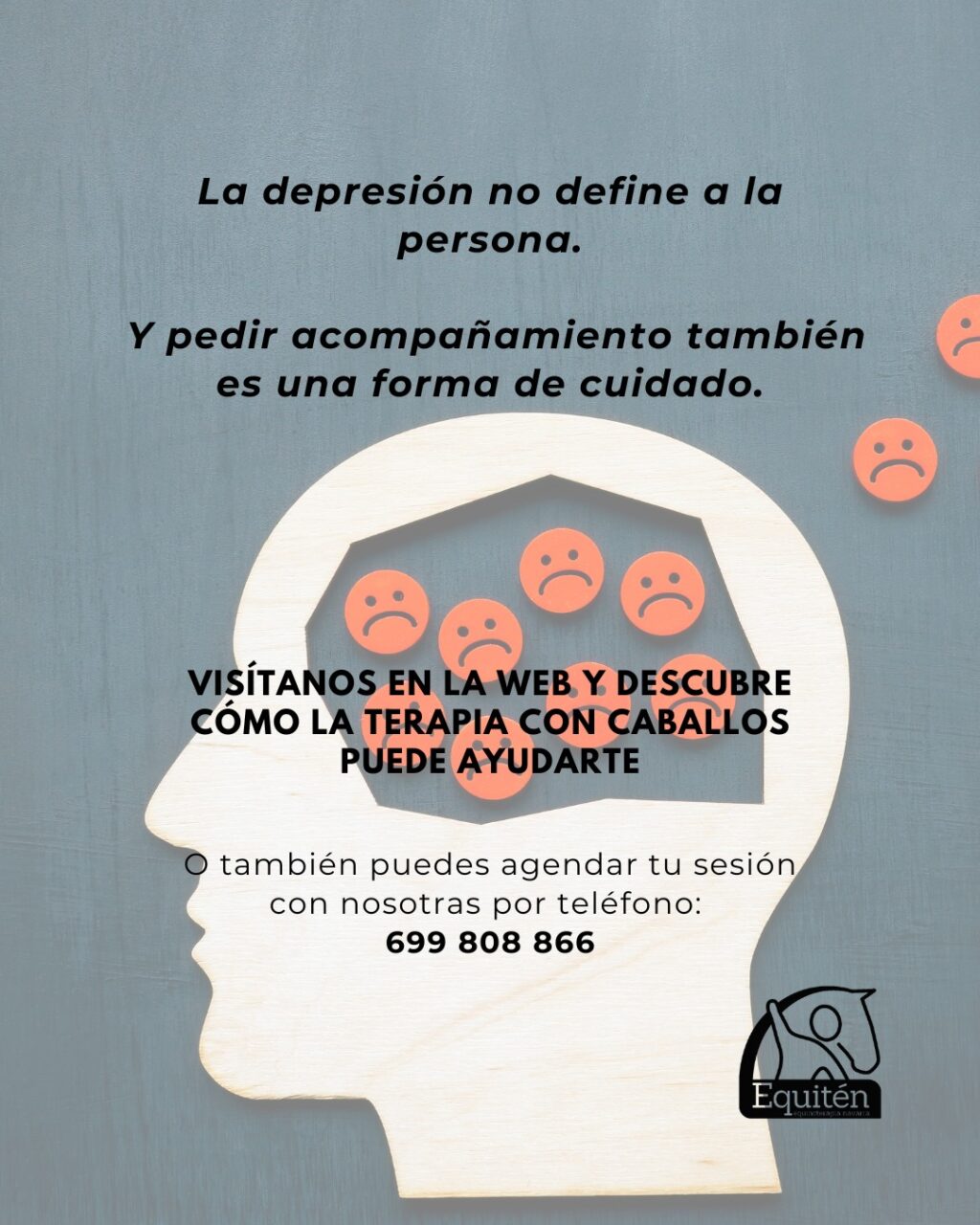 Instagram post from equiten.navarra. This post is in position 5.