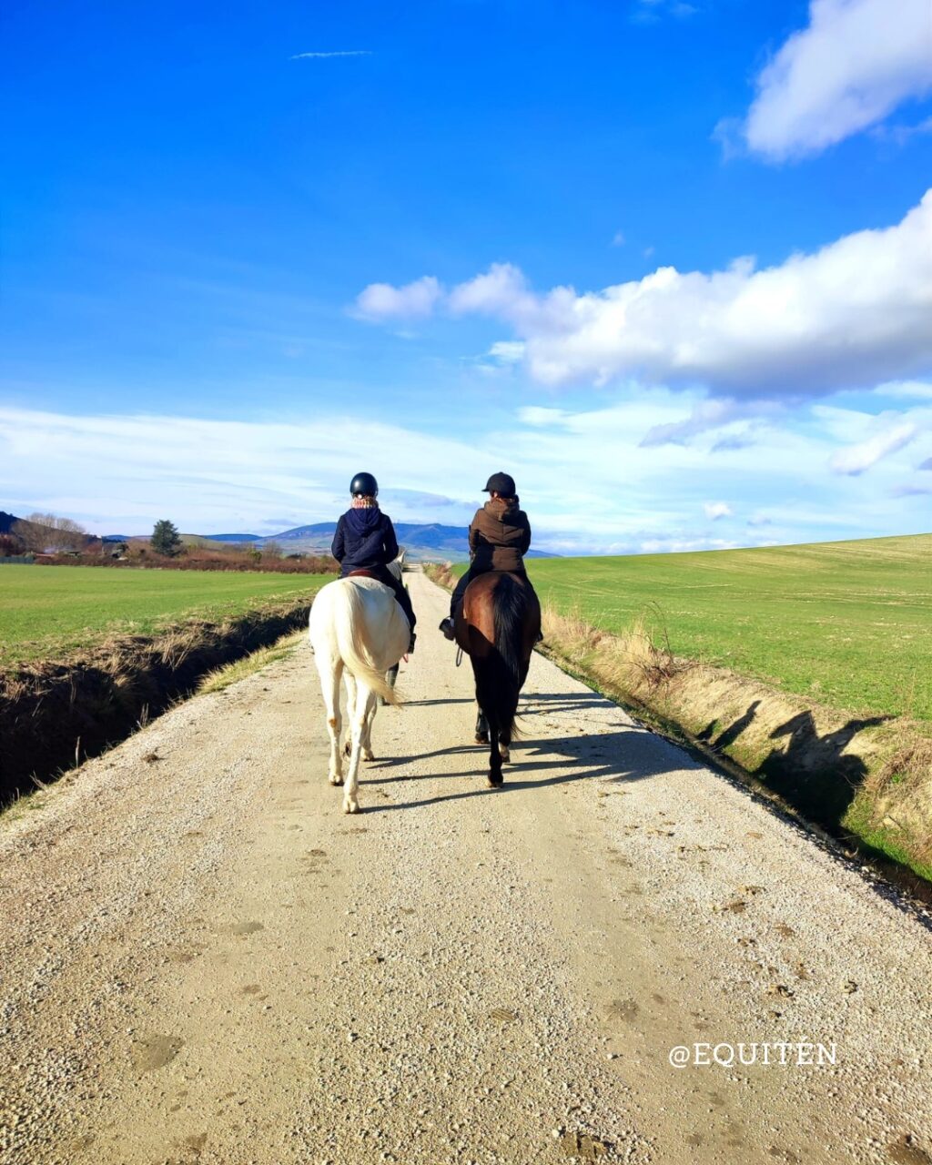 Instagram post from equiten.navarra. This post is in position 2.