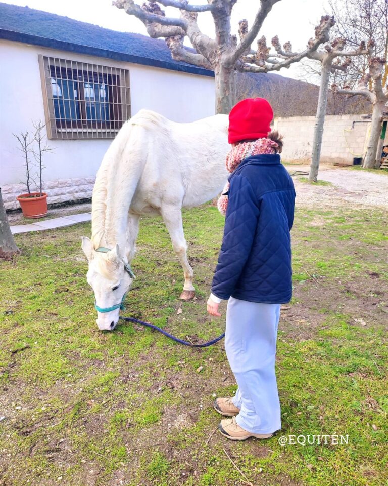 Instagram post from equiten.navarra. This post is in position 2.