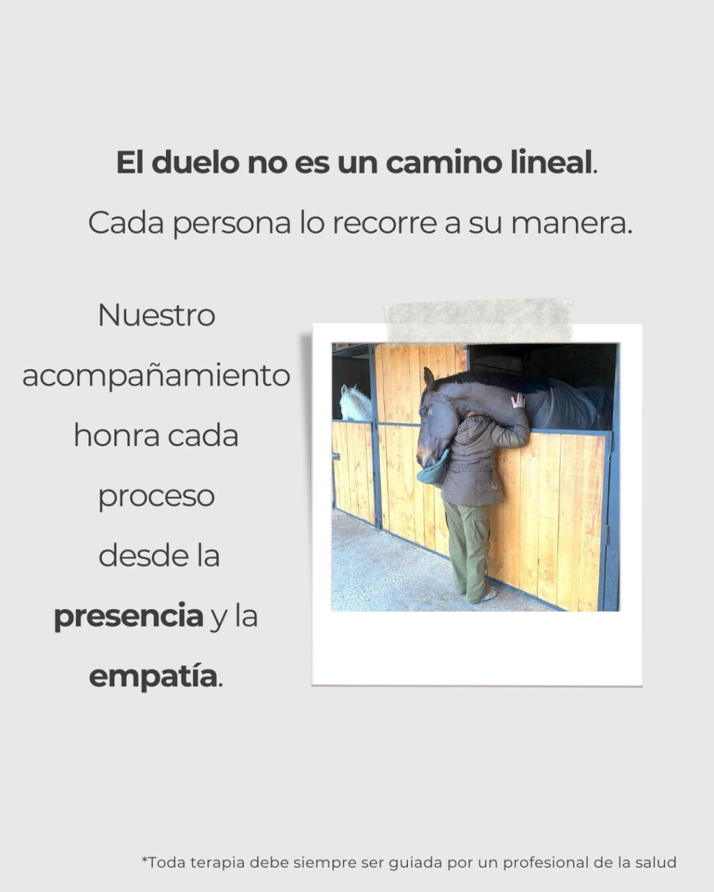 Instagram post from equiten.navarra. This post is in position 6.