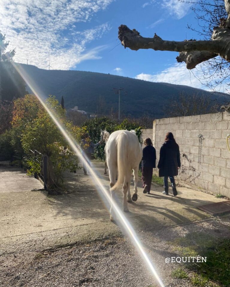 Instagram post from equiten.navarra. This post is in position 1.