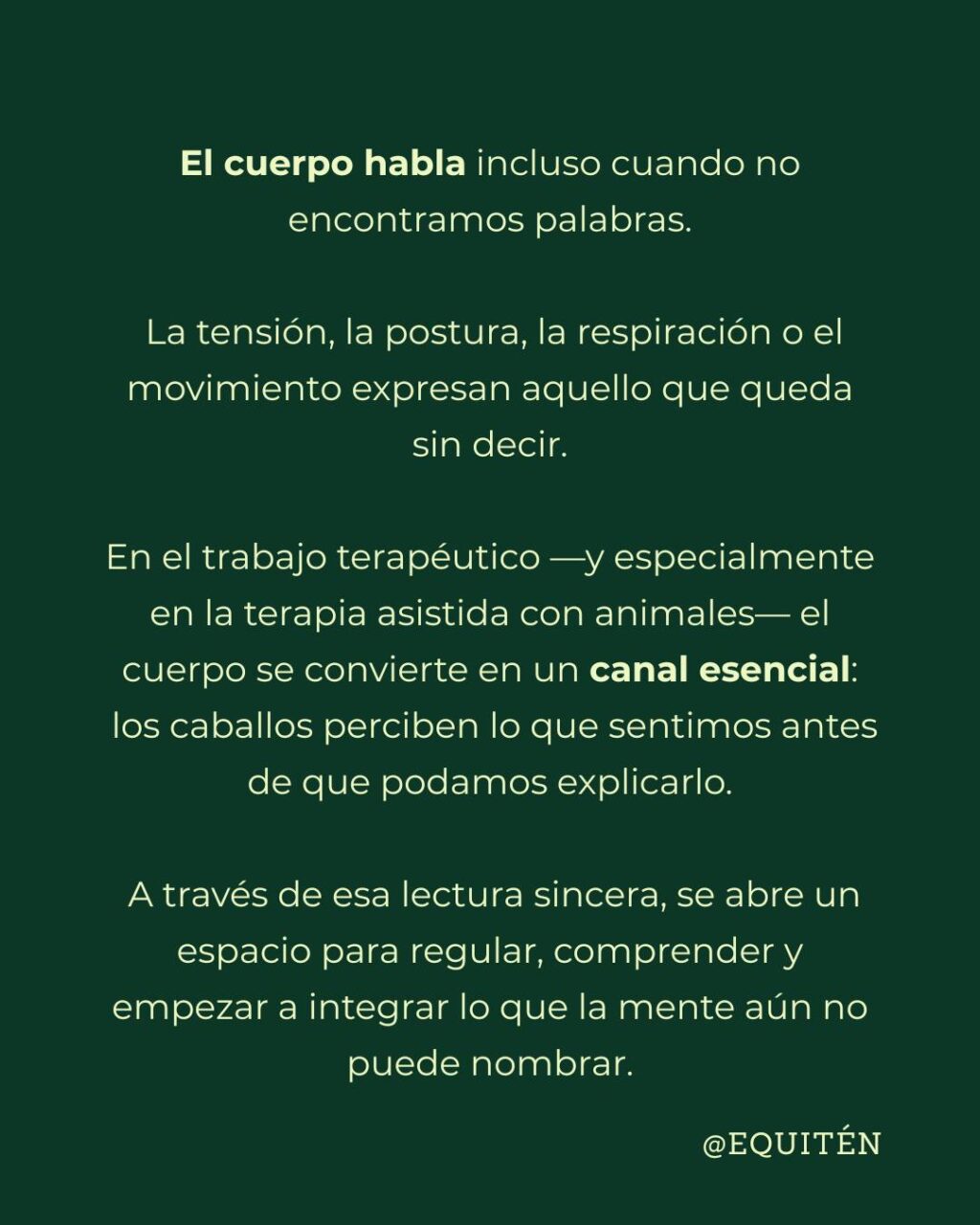 Instagram post from equiten.navarra. This post is in position 1.