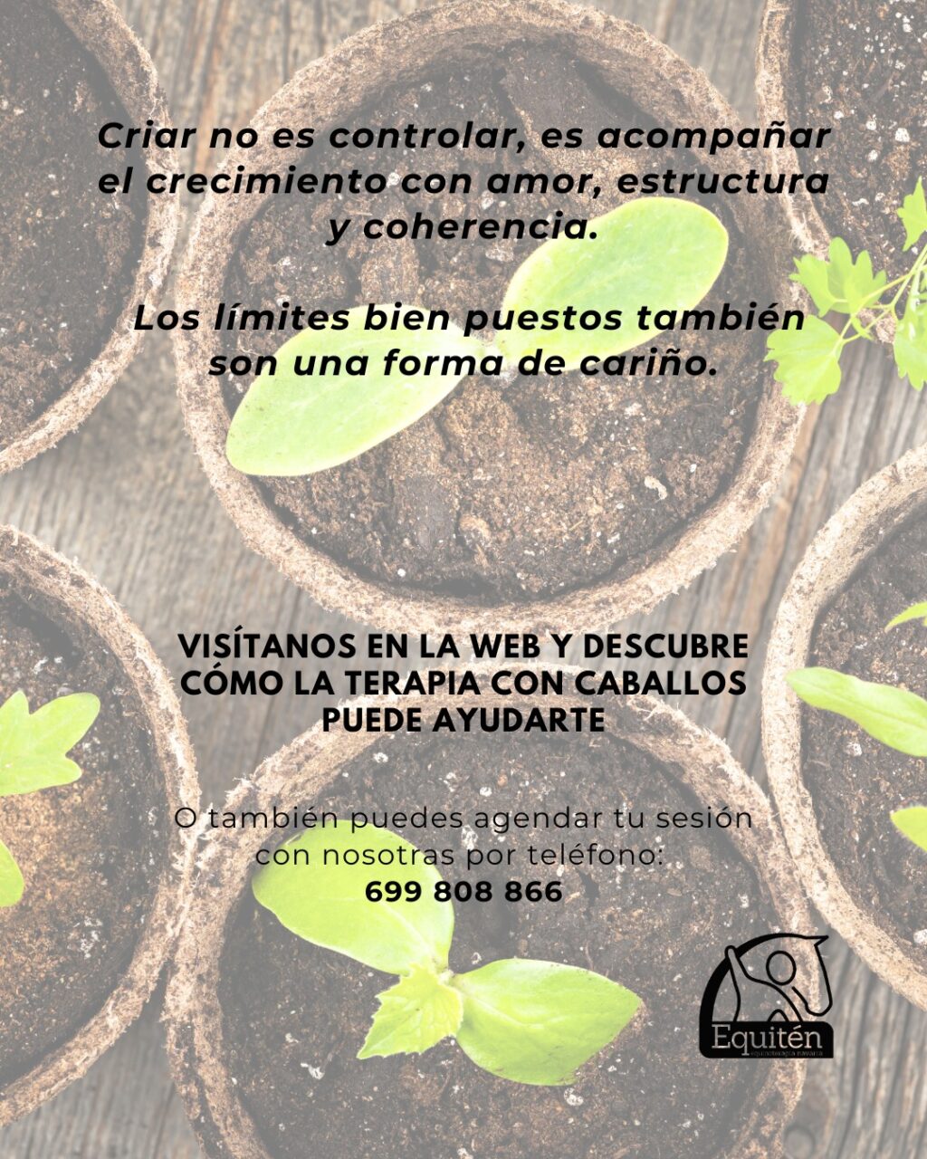 Instagram post from equiten.navarra. This post is in position 5.