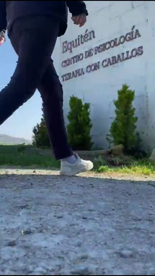 Instagram post from equiten.navarra. This post is in position 1.