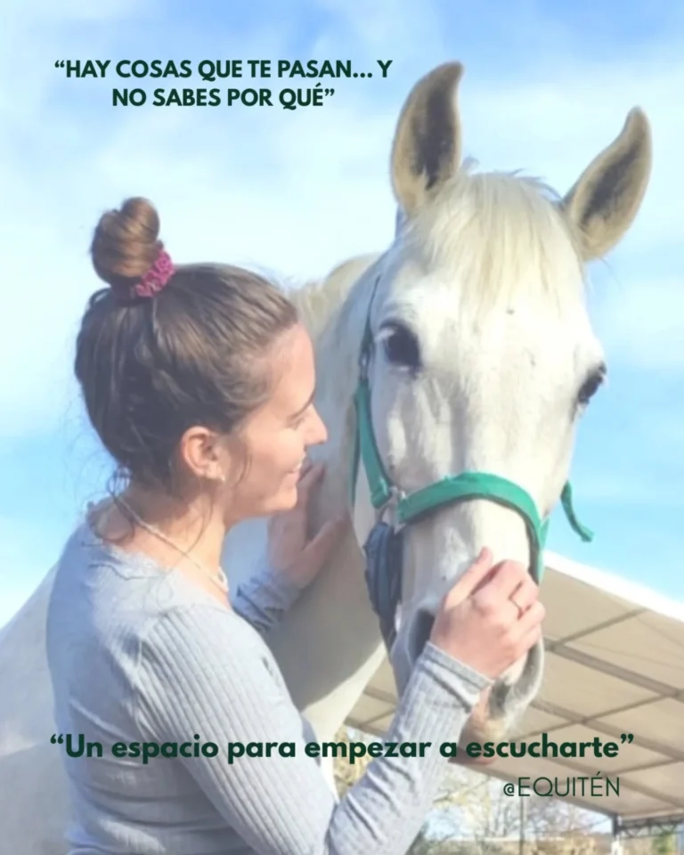 Instagram post from equiten.navarra. This post is in position 0.