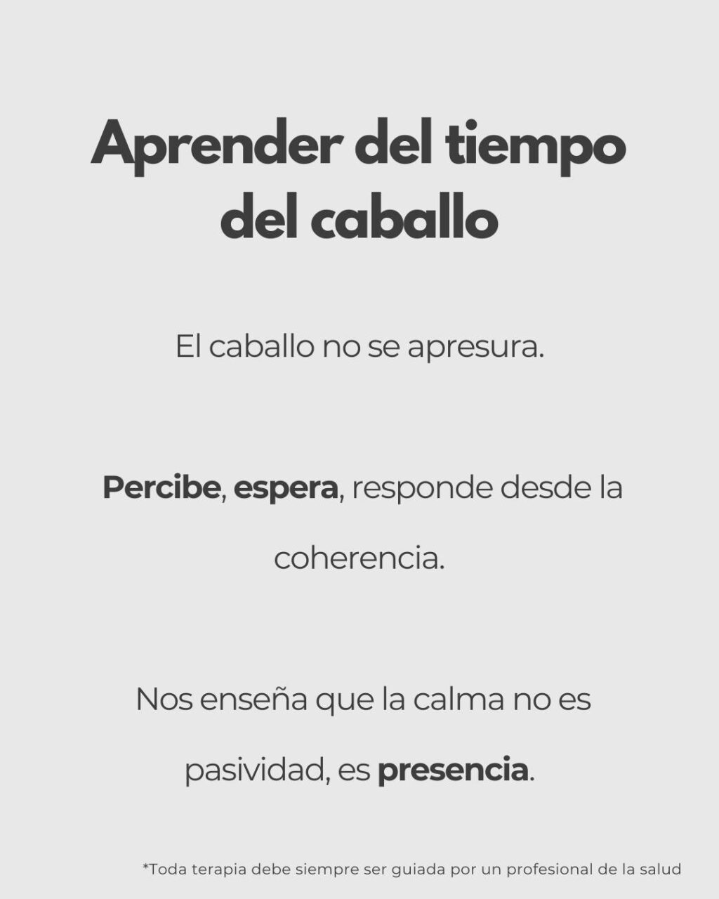 Instagram post from equiten.navarra. This post is in position 5.