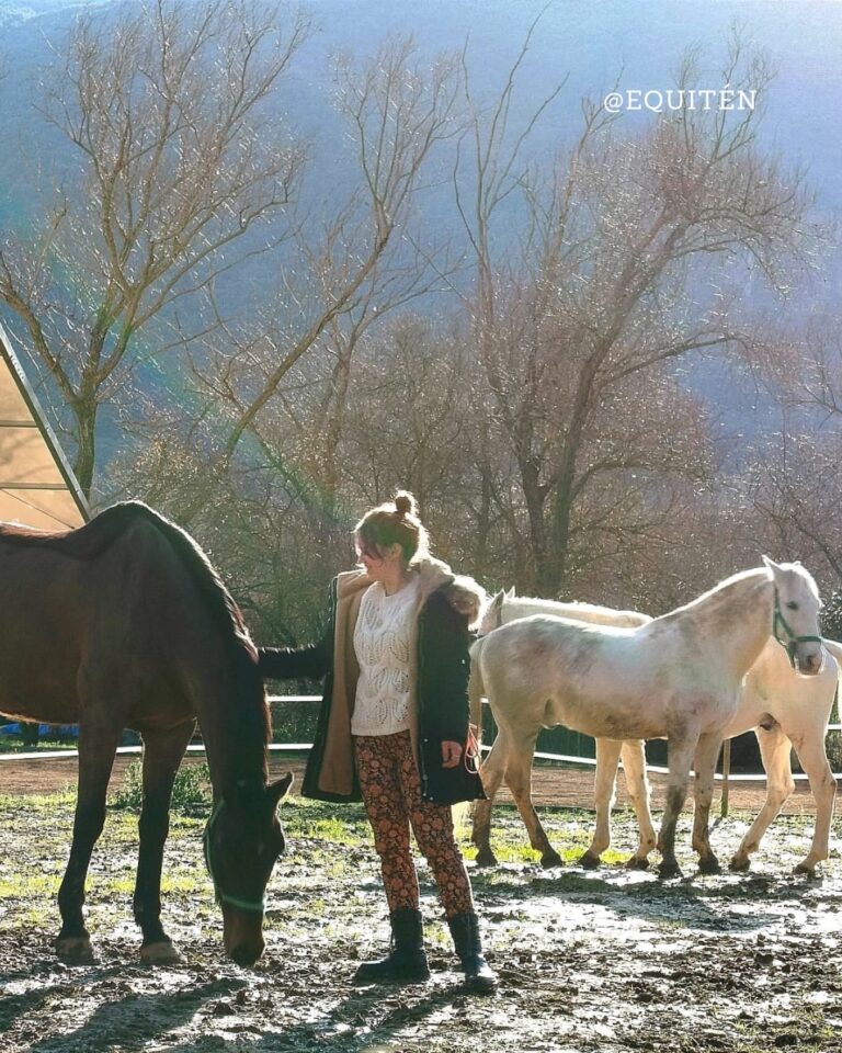 Instagram post from equiten.navarra. This post is in position 3.